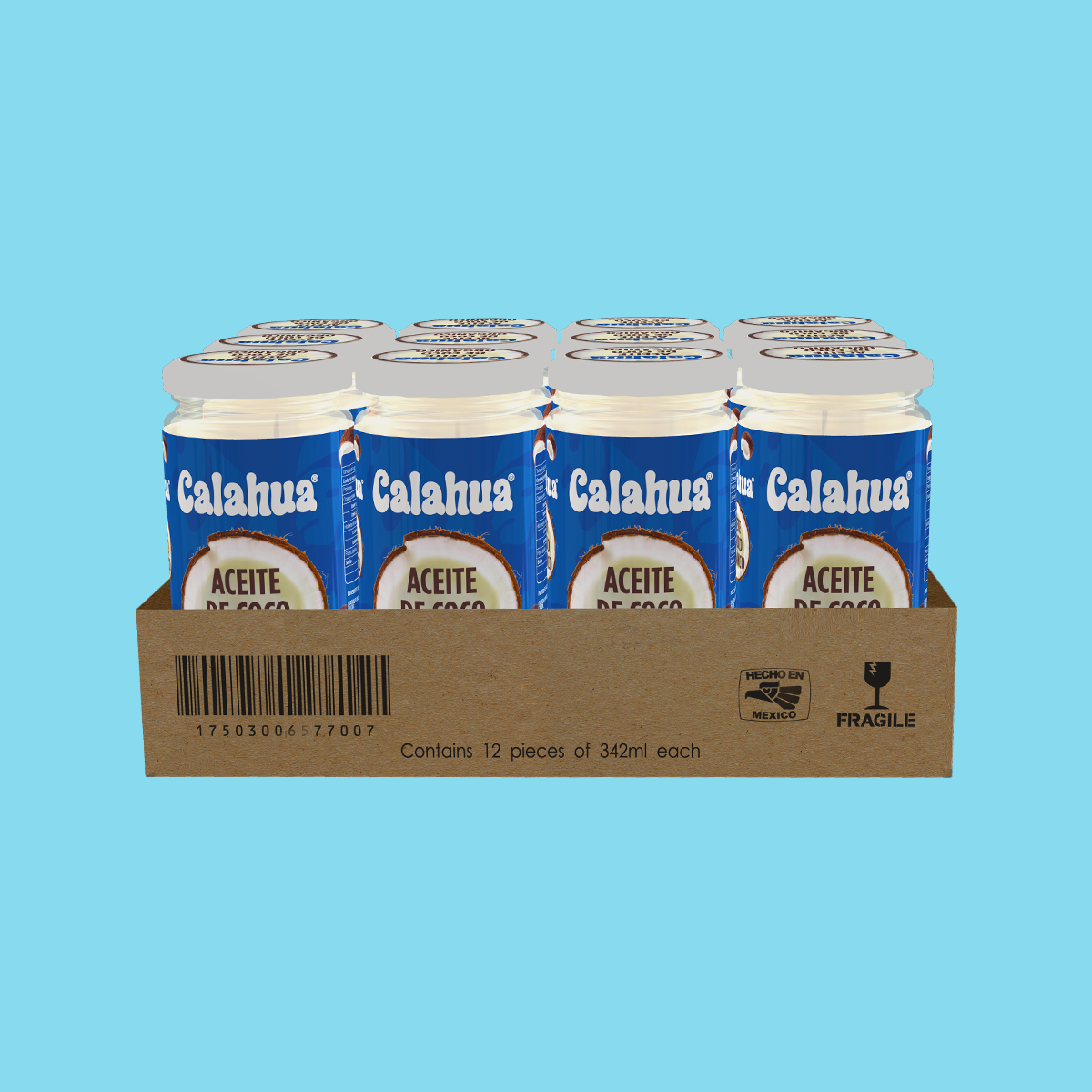 PRESENTACION frontal 12